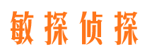 兴国调查事务所